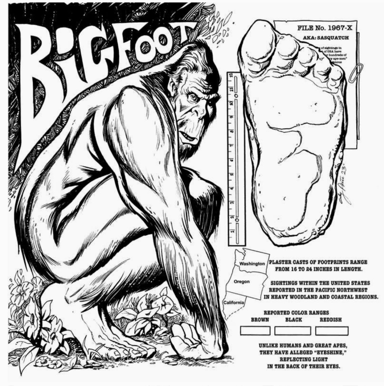 Cryptid Creatures Coloring Book by: Paperback; 64 pages, English