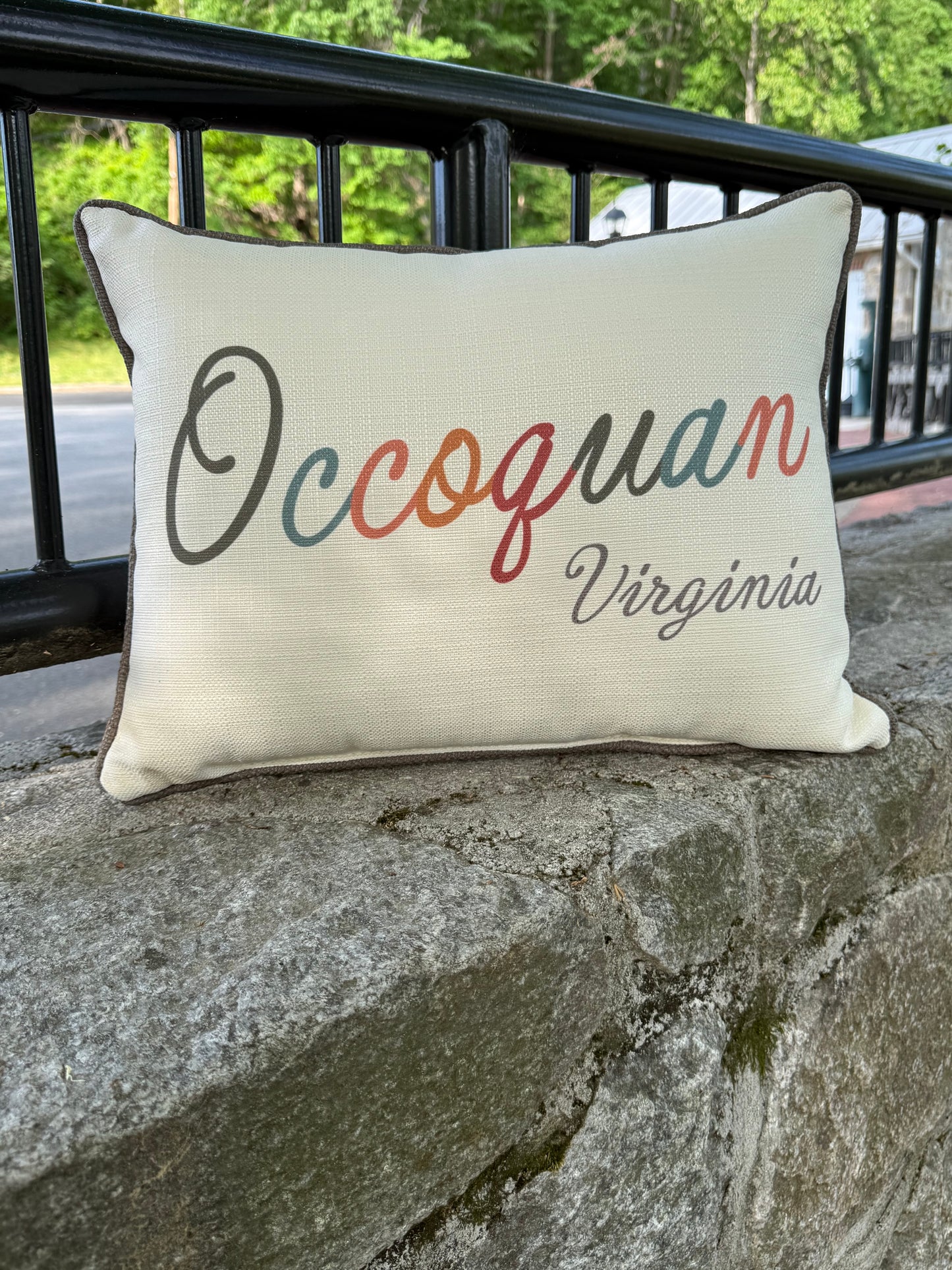 Occoquan Virginia Multicolor Pillow